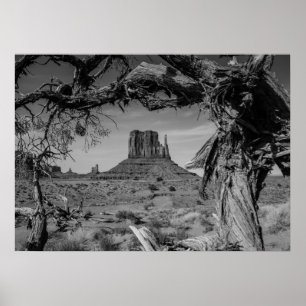 Poster Monument Valley Noir et blanc