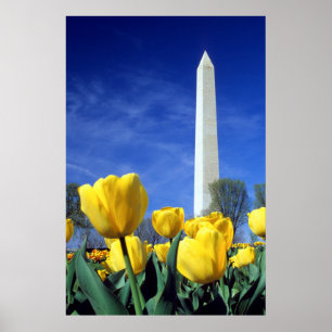 Poster Monuments   Washington Monument in Spring