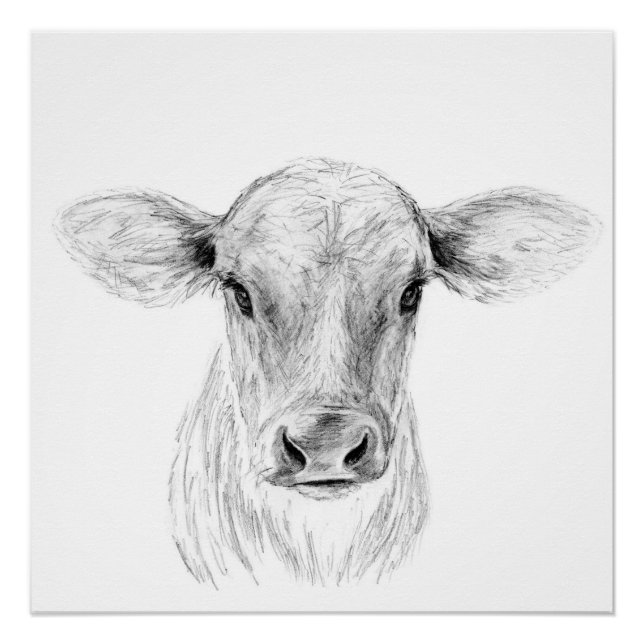 Poster Moo A Young Jersey Cow (Devant)