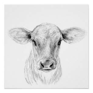 Poster MOO une jeune vache du Jersey