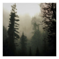 Moody Foggy Treescape Paysage peinture