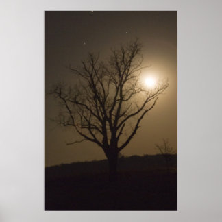 Poster Moon de novembre