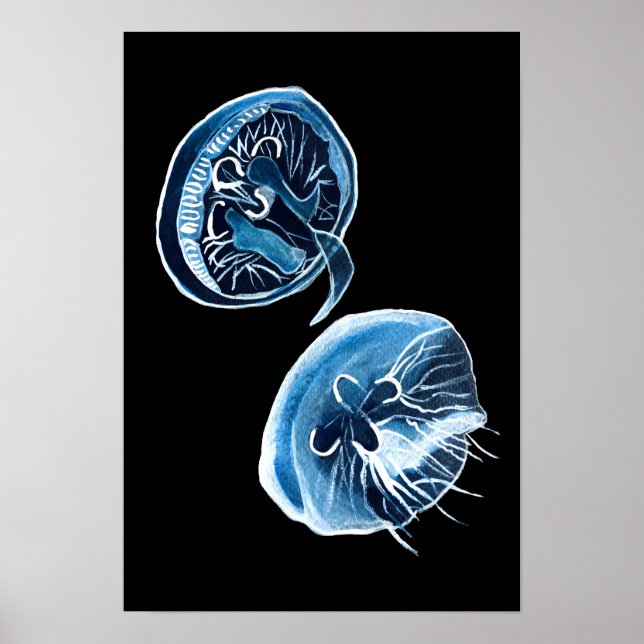 Poster MoonJellyfish aquarelle art (Devant)