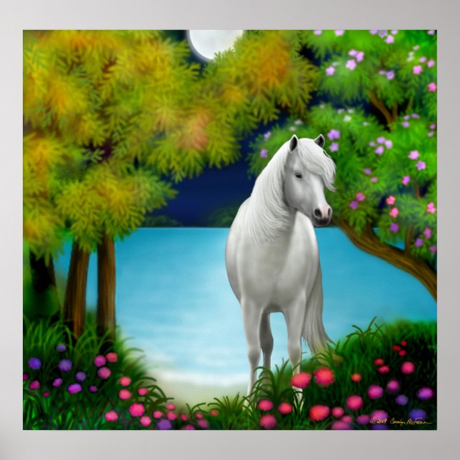 Poster Moonlight (Devant)