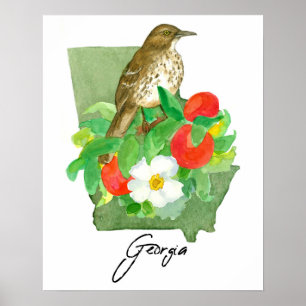 Poster Moqueur roux, oiseau de l'État de Géorgie