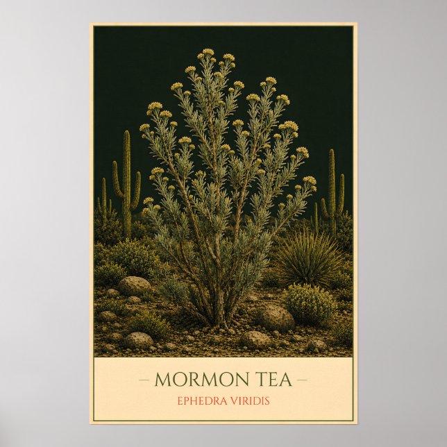 Poster Mormon Tea (Devant)