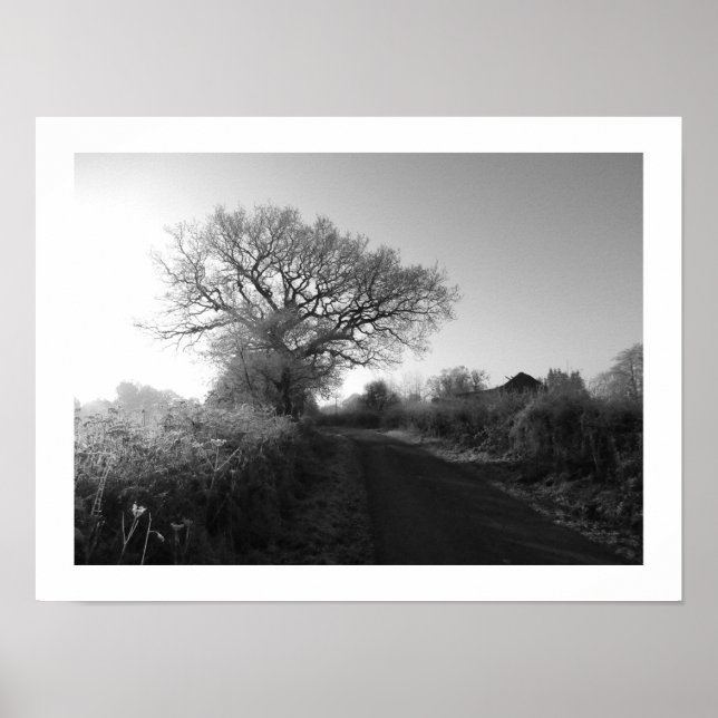 Poster Morne gelée : Cheshire (Devant)