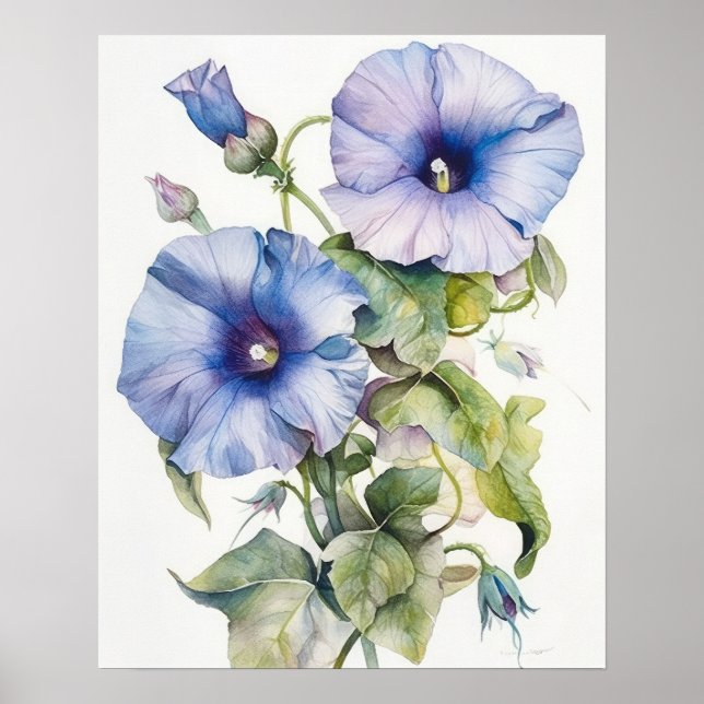 Poster Morning Glory Flowers Art Imprimer l'affiche (Devant)