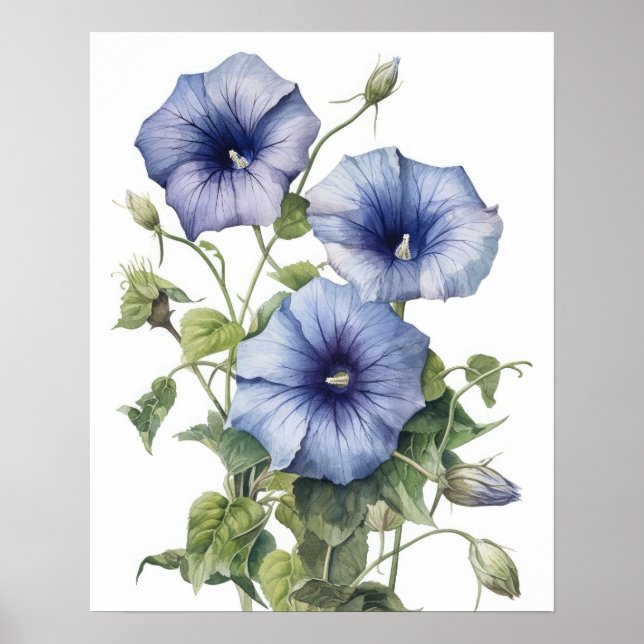 Poster Morning Glory Flowers Art Imprimer l'affiche (Devant)