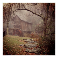 Morning Mist