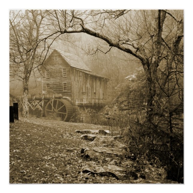 Poster Morning Mist (Devant)
