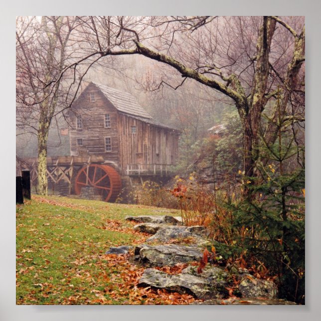 Poster Morning Mist (Devant)