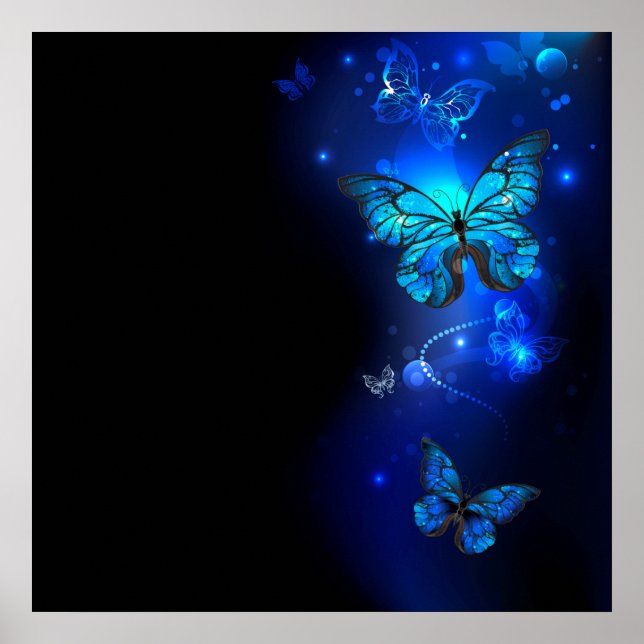 Poster Morpho Butterfly in the Dark Background (Devant)