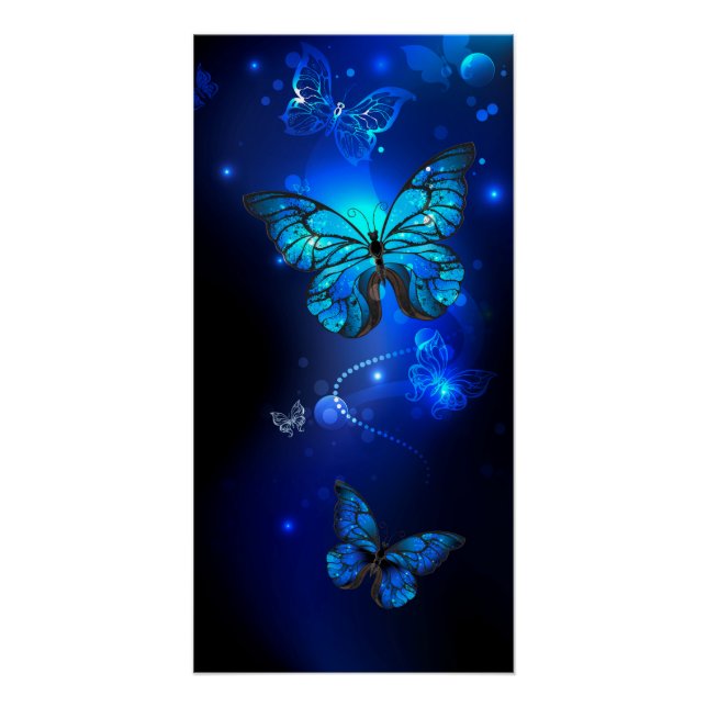 Poster Morpho Butterfly in the Dark Background (Devant)