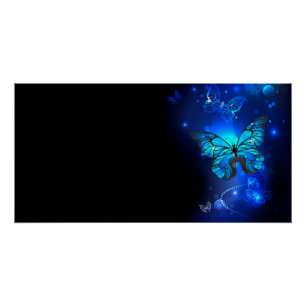Poster Morpho Butterfly in the Dark Background