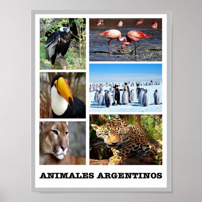 Poster Mosaic Animales Argentinos - (Devant)