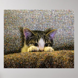 Poster Mosaïque mignonne de photo de chaton