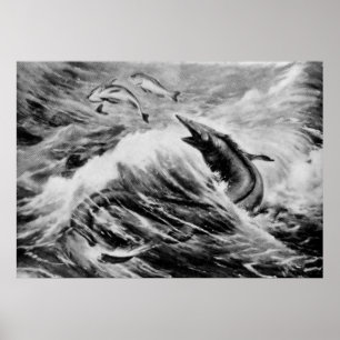 Poster Mosasaurus Antique animale préhistorique Imprimer