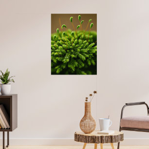 Poster Moss