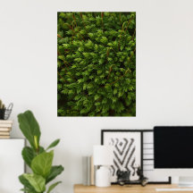 Poster Moss