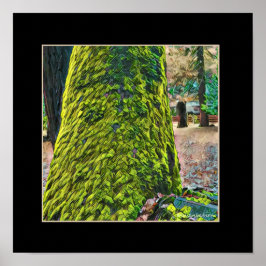 Poster Moss arbre