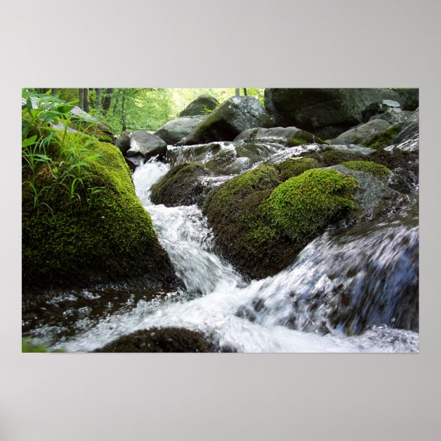 Poster Moss Falls (Devant)