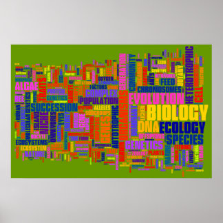 Poster Mot bibliologique n° 2