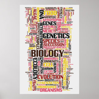 Poster Mot bibliologique No 11