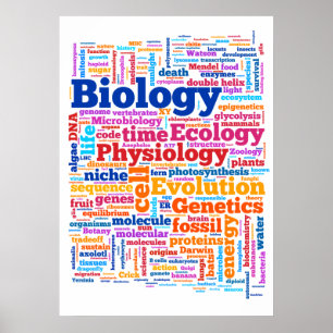 Poster Mot bibliologique No 7
