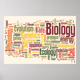 Poster Mot du dernier mot de biologie