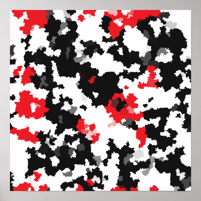 Poster Motif Abstrait Noir et blanc cristallin (Devant)