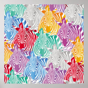 Poster Motif coloré zèbre sans soudure. Textu animal sauv
