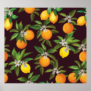 Poster Motif d'agrumes, Oranges Vintages de citrons.