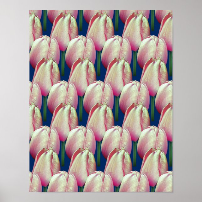 Poster Motif de fleurs de tulipes roses (Devant)