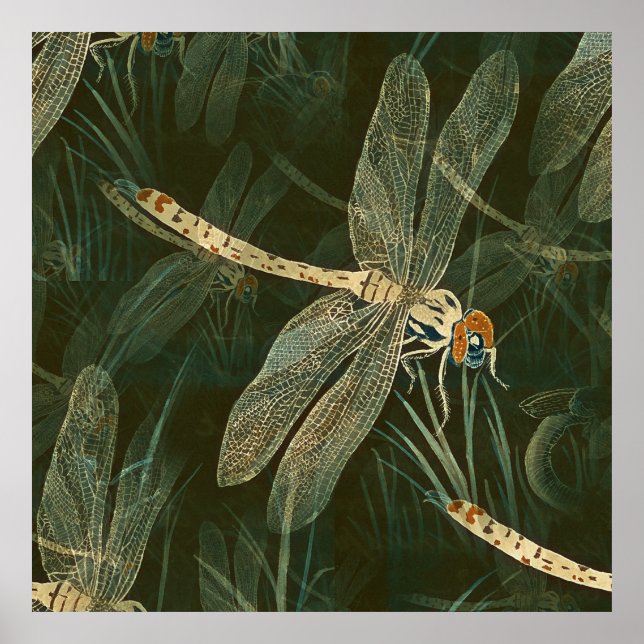 Poster Motif de libellules majestueux (Devant)