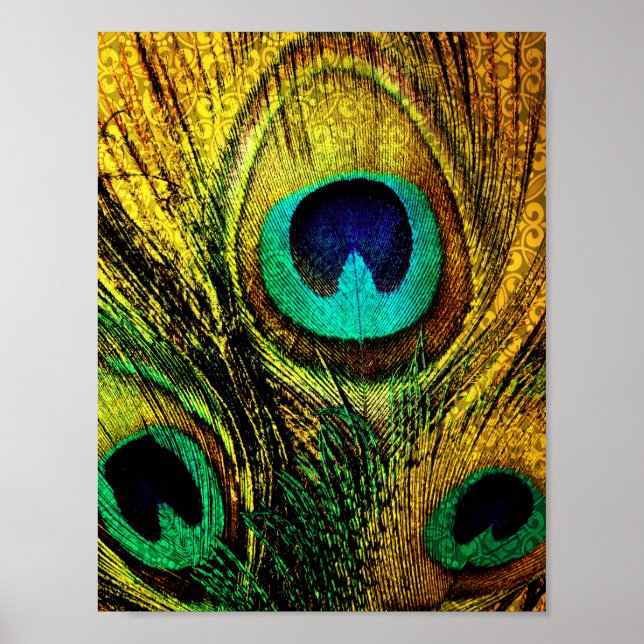 Poster Motif de plume Peacock Or (Devant)