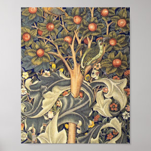 Poster Motif de Woodpecker