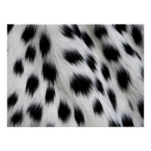 Poster Motif élégant en faux fourrure de dalmatien