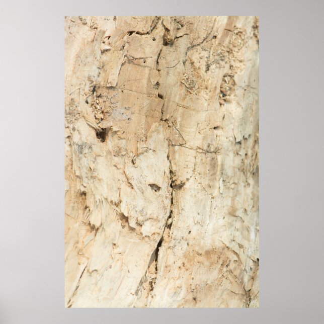 Poster Motif en bois (Devant)