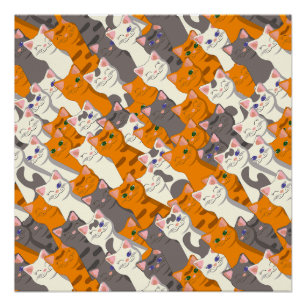 Poster Motif en diagonale du chat noir blanc gingembre