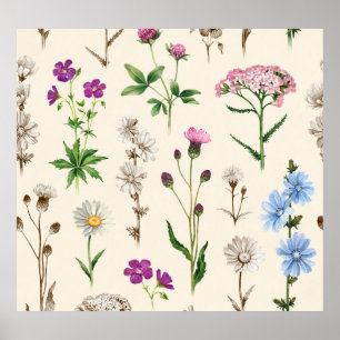 Poster Motif fleur sauvage aquarelle.