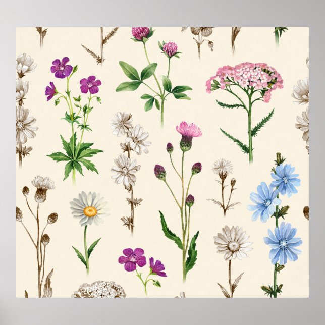 Poster Motif fleur sauvage aquarelle. (Devant)