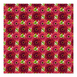 Poster Motif floral audacieux avec papillons Rouge vibr