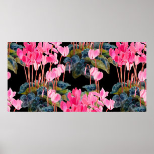 Poster Motif floral sans couture. Cyclamen rose isolé sur