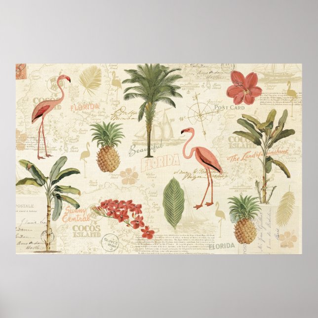 Poster Motif floridien tropical (Devant)