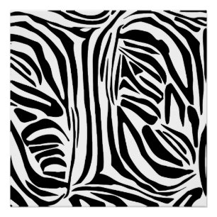 Poster Motif Imprimé Zèbre Noir et Blanc Gras