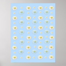 Poster Motif marguerrier sur arrière - plan bleu clair