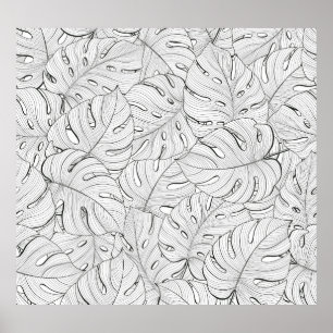 Poster Motif noir blanc Feuille Monstera