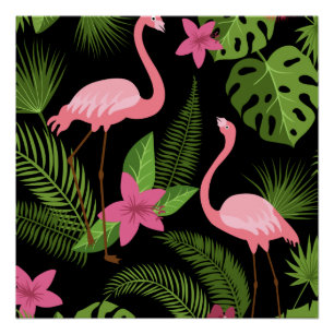 Poster Motif Peacock rose avec Fleur