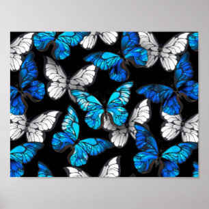 Poster Motif sans couture foncé avec papillons bleus Morp